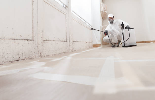 24/7 Emergency Mold Remediation experts in Belvidere, IL